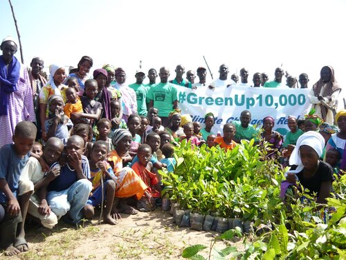 Green-Up Gambia