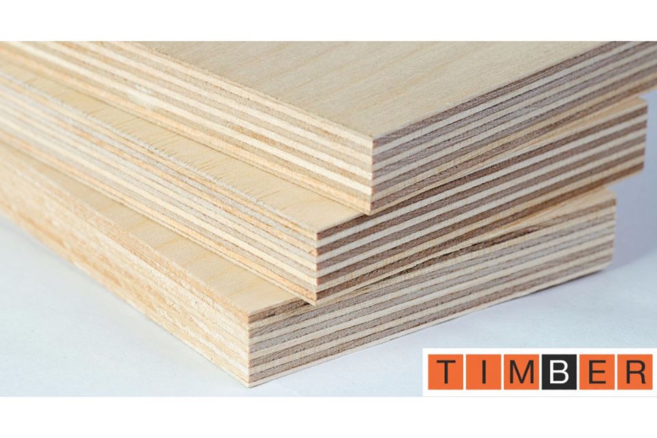 Timber Company