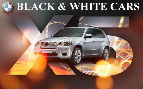 Black And White Cars Gambia Limited