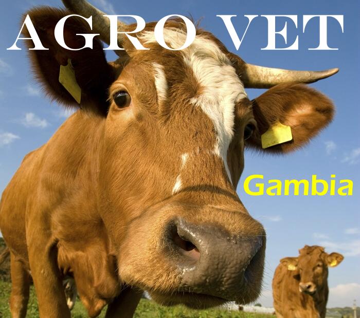 Agro Vet Gambia company Limited